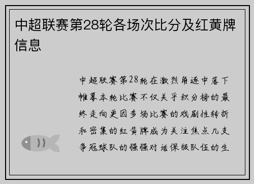 中超联赛第28轮各场次比分及红黄牌信息